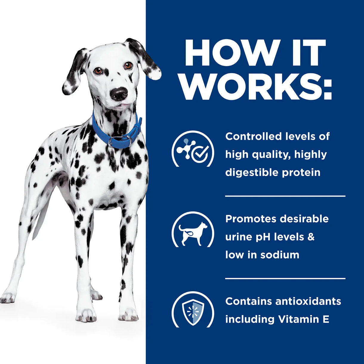 Hill's Prescription Diet- u/d Urinary Health (Dry)