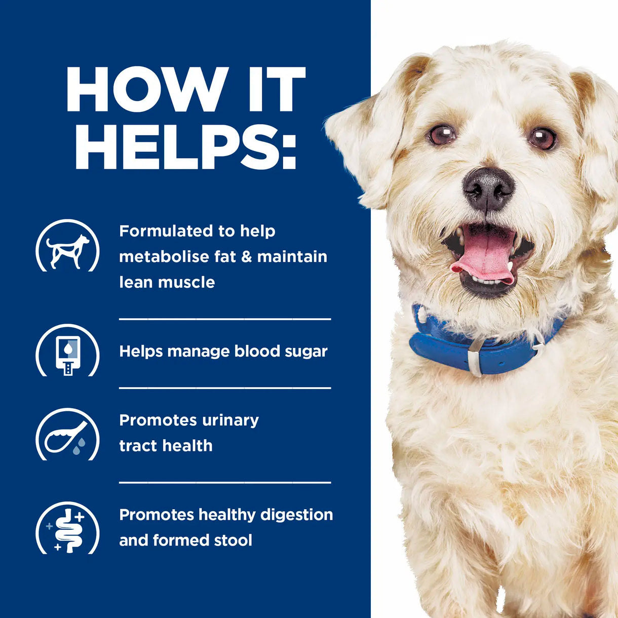 Hill's Prescription Diet- w/d Weight Control, diabetes and Digestive Maintenance (Dry)