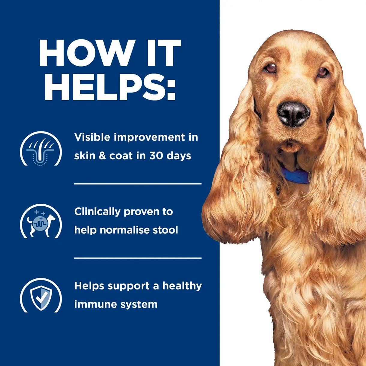 Hill's Prescription Diet - z/d Food Sensitivities (Dry)