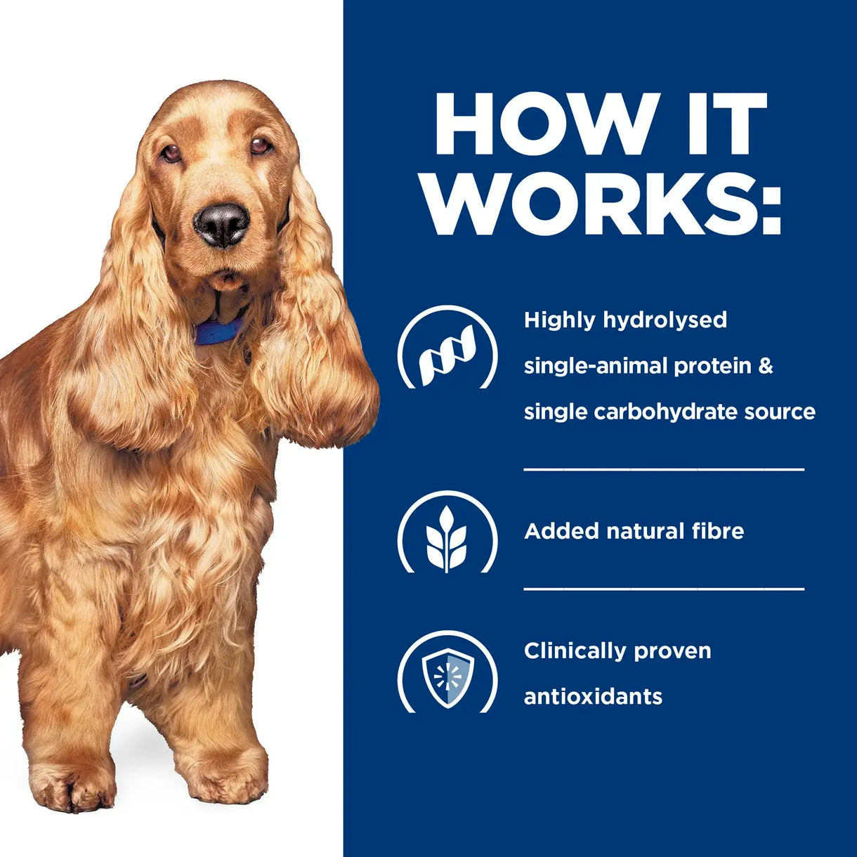 Hill's Prescription Diet - z/d Food Sensitivities (Dry)