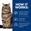 Hill's Prescription Diet - Gastrointestinal Biome Digestive /Fibre Care Stress (Dry) 希爾思處方食品 - 貓用GI Biome健康腸菌叢乾糧