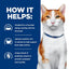 Hill's Prescription Diet - ONC Care (Dry) 希爾思處方食品 - 貓用 ONC CARE 腫瘤照護配方
