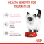 Royal Canin - Kitten Wet Food In Gravy (Pouch-85g)－幼貓營養主食濕糧（肉汁）
