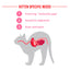 Royal Canin - Babycat Milk 幼貓奶粉 