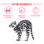 Royal Canin - Babycat Milk 幼貓奶粉 