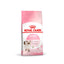 Royal Canin - Kitten Dry Food (up to 12 months old) -幼貓營養配方