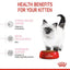 Royal Canin - Kitten Dry Food (up to 12 months old) -幼貓營養配方