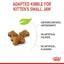 Royal Canin - Kitten Dry Food (up to 12 months old) -幼貓營養配方