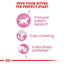 Royal Canin - Kitten Wet Food In Jelly (Pouch-85g)- 幼貓營養主食濕糧（啫喱）