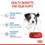 Royal Canin - Mini Puppy 2-10 months (Dry)