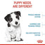 Royal Canin - Mini Puppy 2-10 months (Dry)
