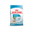 Royal Canin - Mini Starter Mother & Babydog Dry Food 1-2 months (Dry)