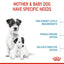 Royal Canin - Mini Starter Mother & Babydog Dry Food 1-2 months (Dry)