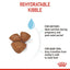 Royal Canin - Mini Starter Mother & Babydog Dry Food 1-2 months (Dry)