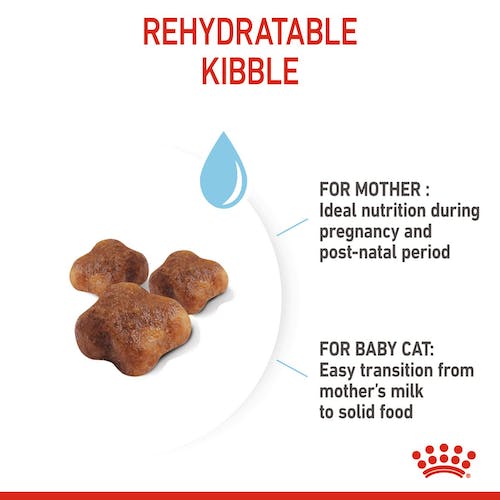Royal Canin - Mother & Babycat Dry Food (1-4 Months)－離乳初生貓及母貓營養配方