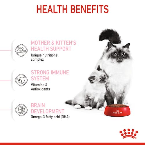 Royal Canin - Mother & Babycat Dry Food (1-4 Months)－離乳初生貓及母貓營養配方