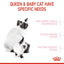 Royal Canin - Mother & Babycat Dry Food (1-4 Months)－離乳初生貓及母貓營養配方
