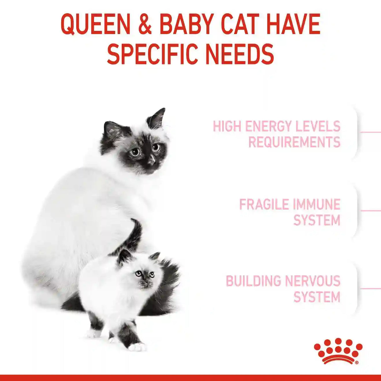 Royal Canin - Mother & Babycat Dry Food (1-4 Months)－離乳初生貓及母貓營養配方