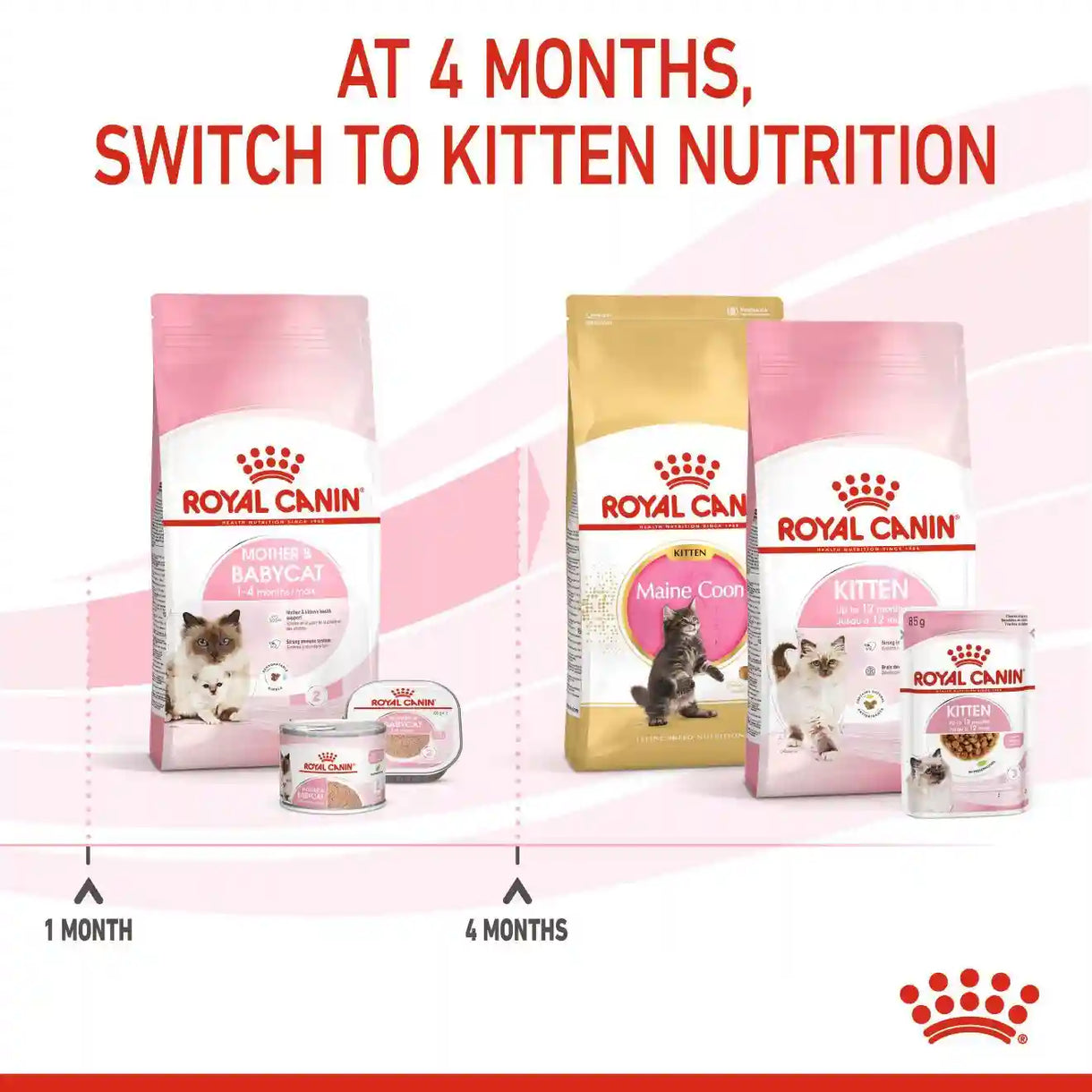 Royal Canin - Mother & Babycat Dry Food (1-4 Months)－離乳初生貓及母貓營養配方