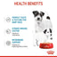 Royal Canin - Starter Mother & Baby Dog Canned Food 195 g