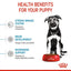 Royal Canin - Puppy MAXI (Dry)