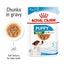 Royal Canin - Puppy Mini Gravy Wet Food  (Pouch-85g)