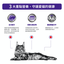 Royal Canin - Feline Mature Consult (Pouch -85g) 老貓高效營養健康管理袋裝濕糧