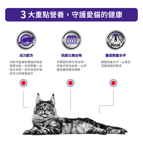 Royal Canin - Feline Mature Consult (Pouch -85g) 老貓高效營養健康管理袋裝濕糧